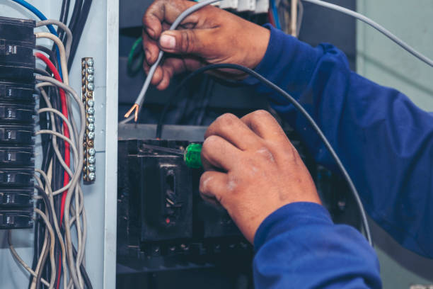 Best Local Electrician Companies  in South Congaree, SC