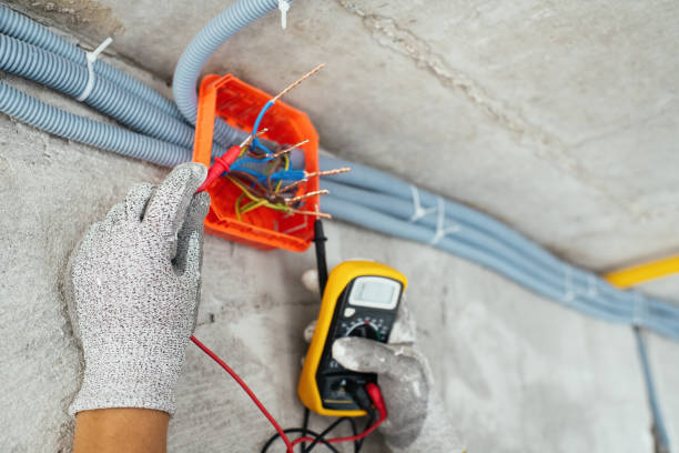 Best Electric Panel Repair  in South Congaree, SC